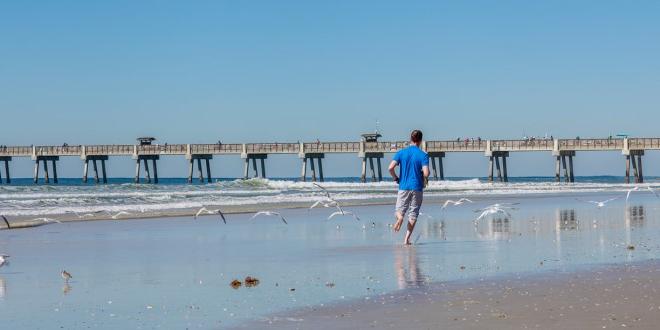 照片上是一名穿着蓝色衬衫和工装短裤的白人男性, 赤脚在沙滩上奔跑，旁边是把翅膀浸入水中的海鸥. 那个人在码头旁边跑步.