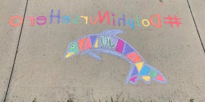 一只海豚用粉笔在人行道上画画，上面写着#DolphinNurseHero.